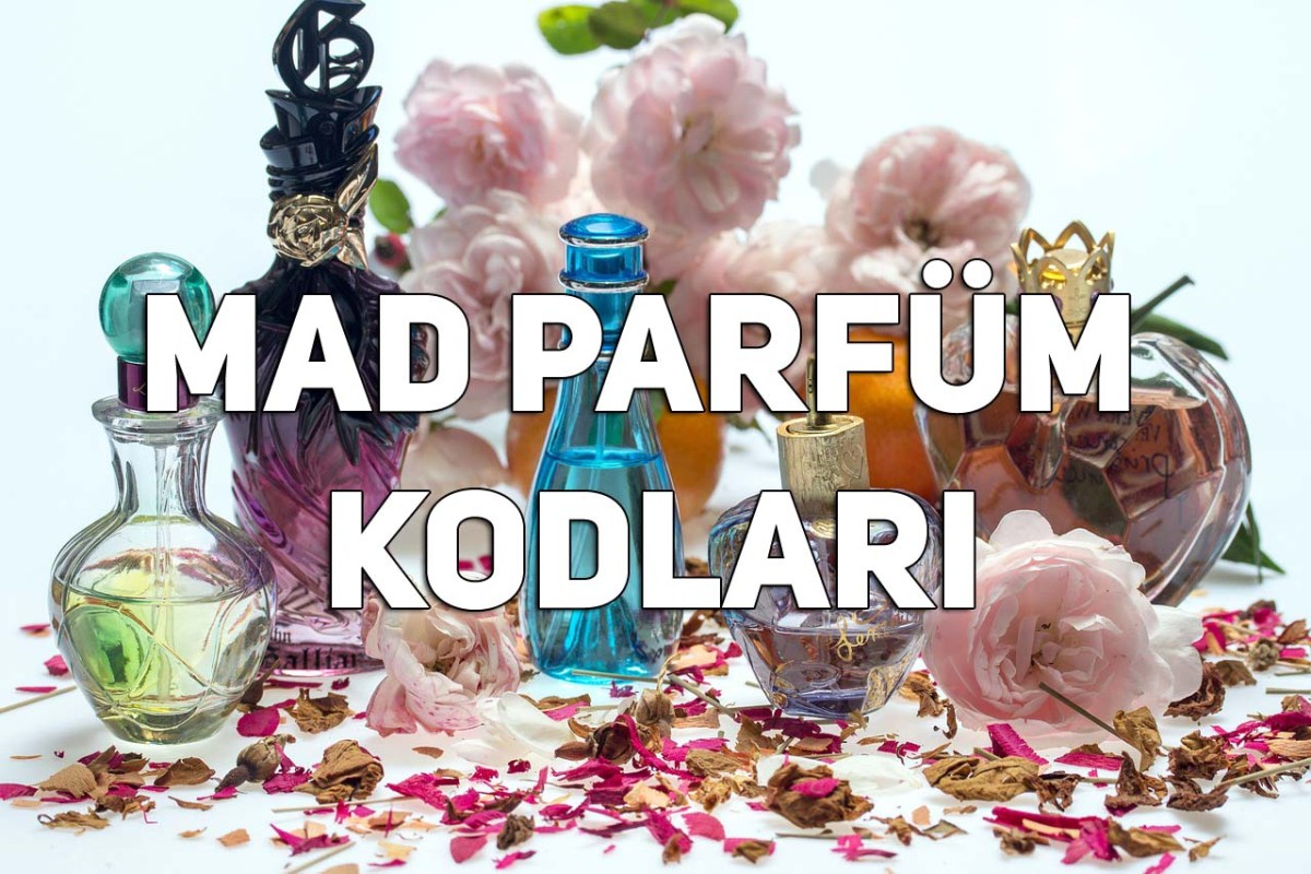 Kodlar.net 